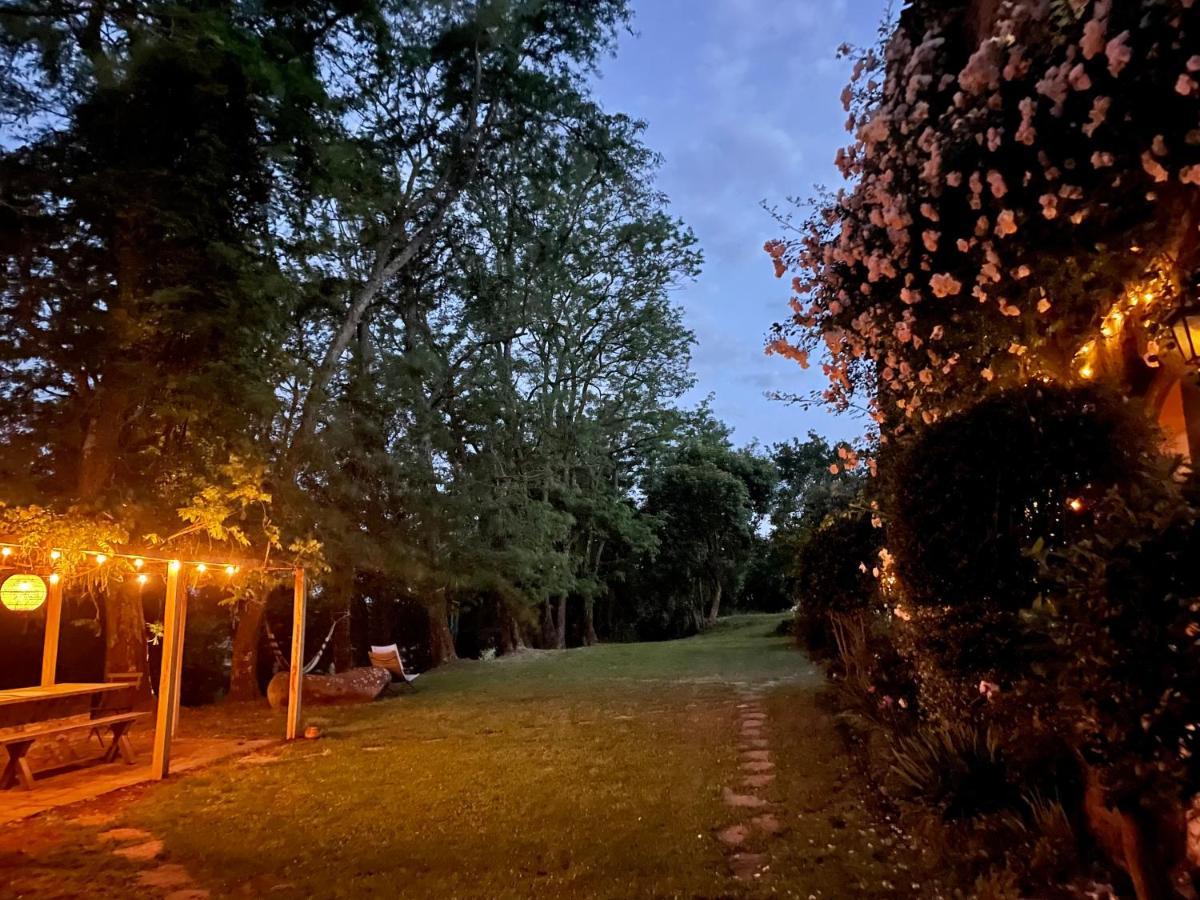 Collina Blu Bed & Breakfast บอลเซนา ภายนอก รูปภาพ